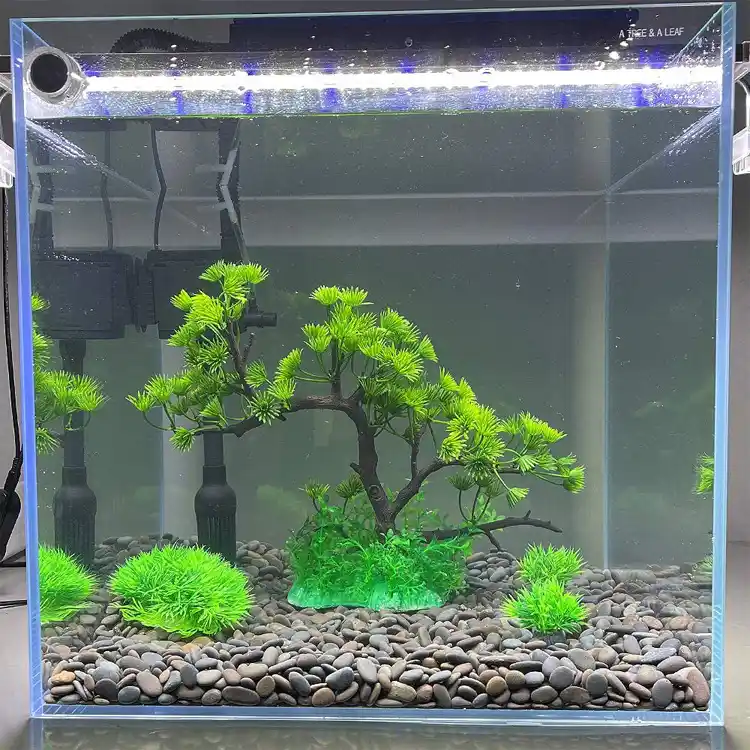 Aquarium decoration water plant