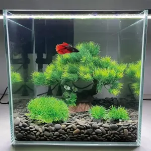 Aquarium decoration water plant