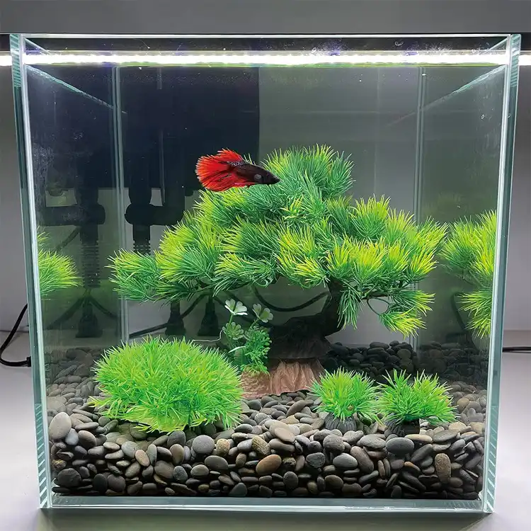 Aquarium decoration water plant
