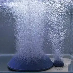 Aquarium Oxygenated nanobubbles