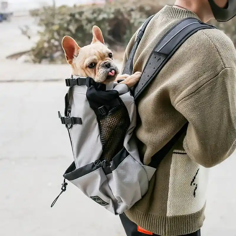 Dog Carrier Backpack for Travel – grey