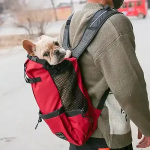 dog-carrier-backpack-for-travel