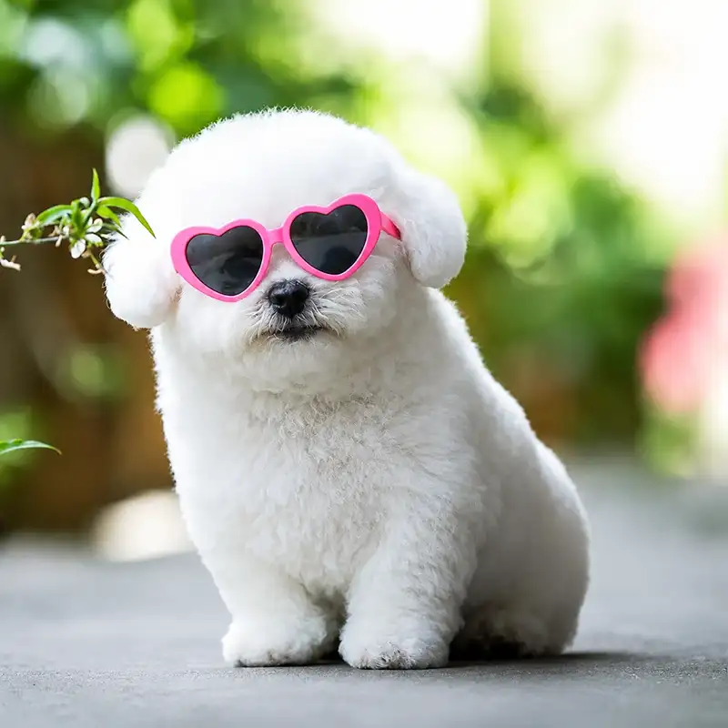 Doll Sunglasses Pet Toy Accessories