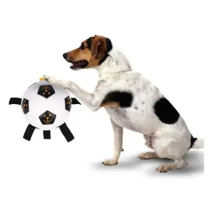 outdoor-football-for-dog-training