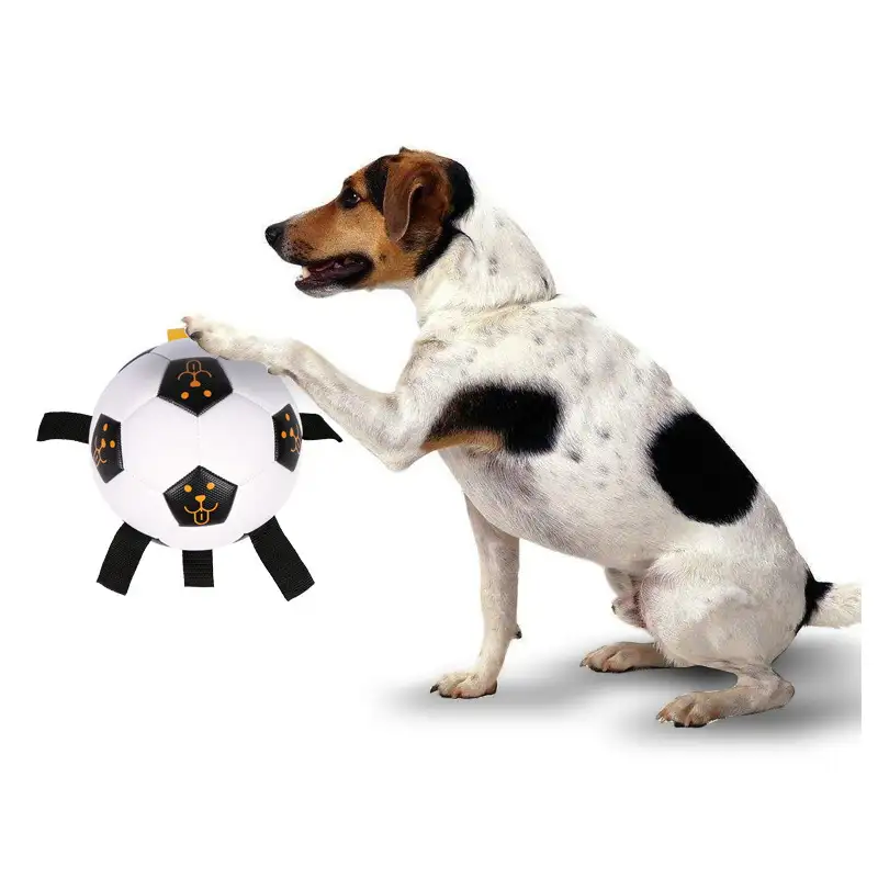 Outdoor football for dog training
