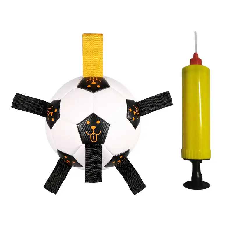 Outdoor football for dog training