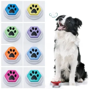 pet-communication-training-talk-button-squeeze-box