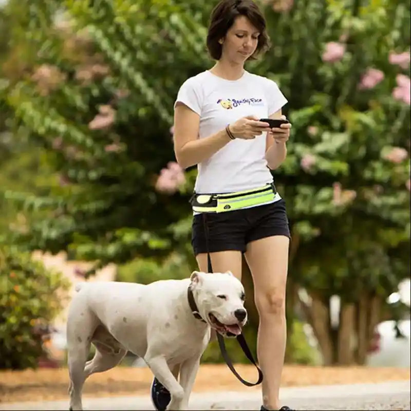 Adjustable Bungee Running Belt for Large Dogs