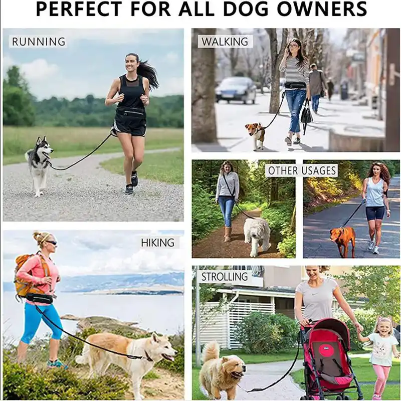 Adjustable Bungee Running Belt for Large Dogs