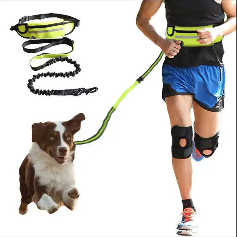 Adjustable Bungee Running Belt for Large Dogs - use of florescent yellow