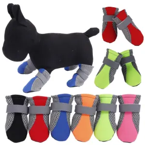 dog-walking-running-shoes