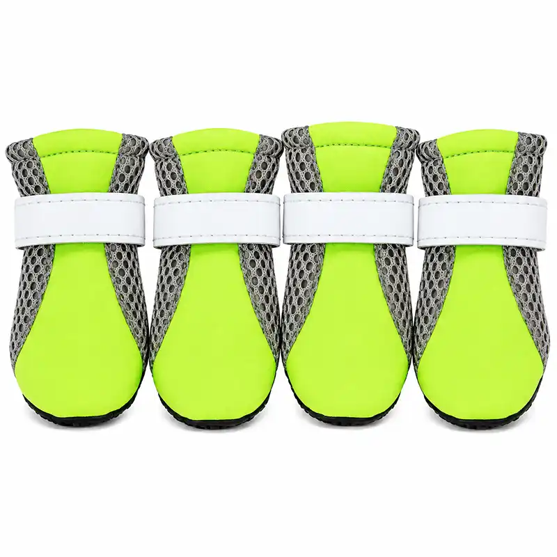 dog-walking-running-shoes-green