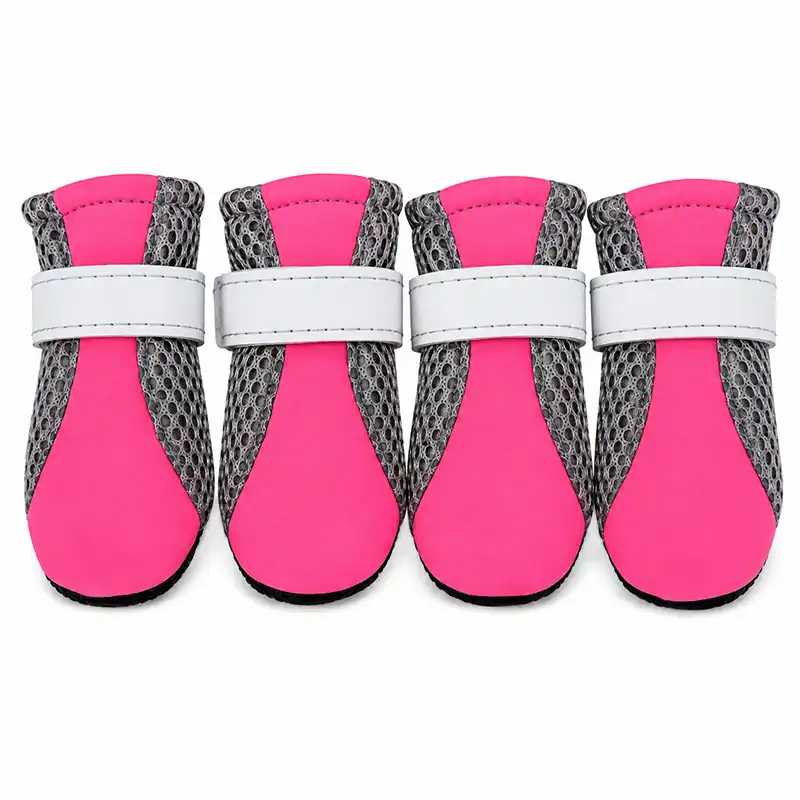 dog-walking-running-shoes-rose red