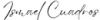 signature_ismael